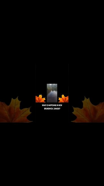 Canadian Government putting poison in the water in New Brunswick. No excuse for this #trudeaumustgo