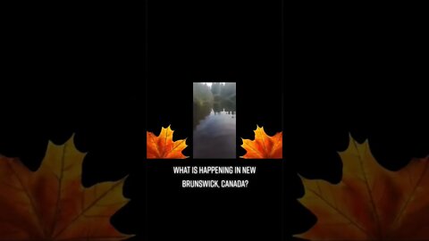 Canadian Government putting poison in the water in New Brunswick. No excuse for this #trudeaumustgo