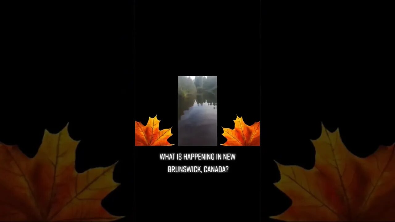 Canadian Government putting poison in the water in New Brunswick. No excuse for this #trudeaumustgo