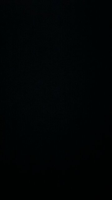 Transgender insanity