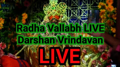 Live Drsahan VRINDAVAN