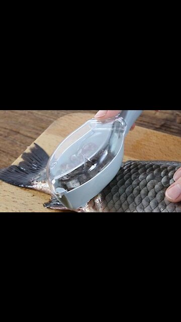 Fish Skin Scale Scraper Fast Remove