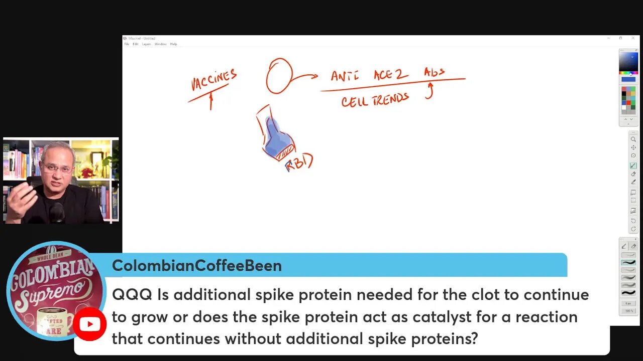 Details of Microclotting Papers By Prof. Resia Pretorius