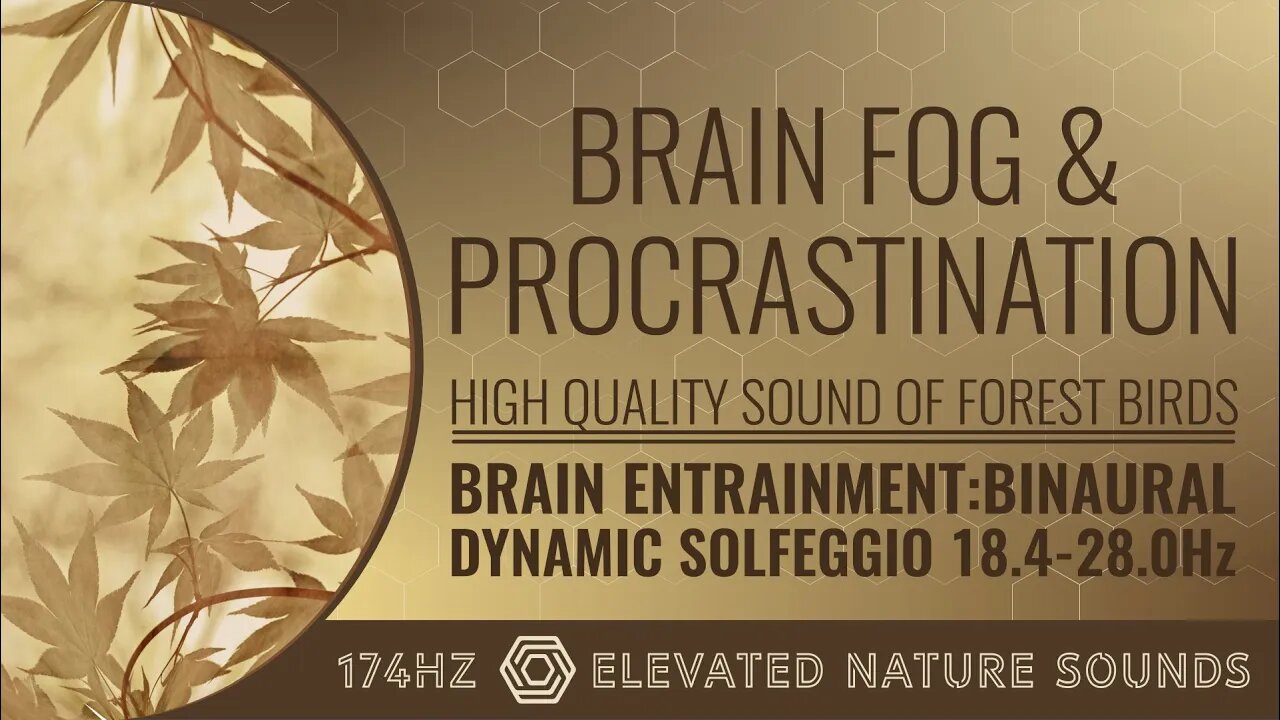 Overcome Brain Fog Procrastination 174Hz Sound of Forest Birds Binaural Dynamic Solfeggio 18.4-28Hz