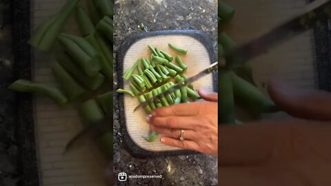 Canning Fresh Green Beans From the Garden #shorts #shortsvideo