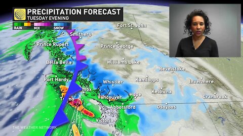 Multiple systems to continue pushing in rounds of heavy rain, alpine snow in B.C. through next week