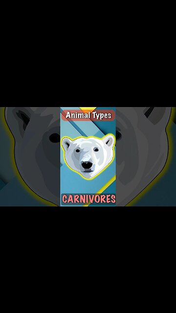 Apex Carnivorous Animals | Top Predators | Polar Bear #shorts #polarbears