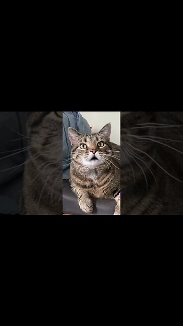 Zeus Speaks His Mind