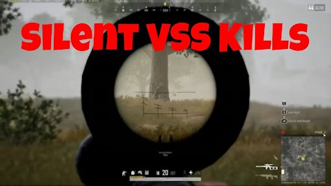 PUBG VSS Kills in the Mist