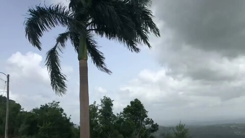 Moca Puerto Rico El miradero privado