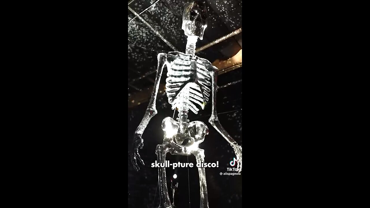 Coolest Yard Skeleton EVAH!!