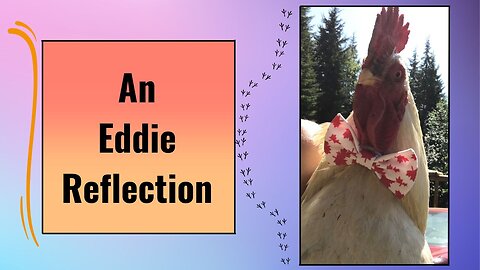 Eddie Loves Admiring Himself-In Anything!