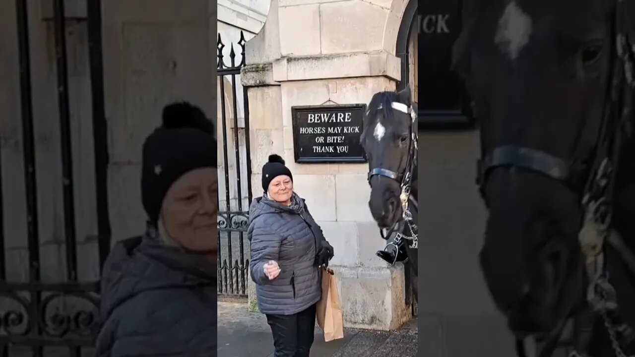 Stroke me and I will bite your fingers #horseguardsparade