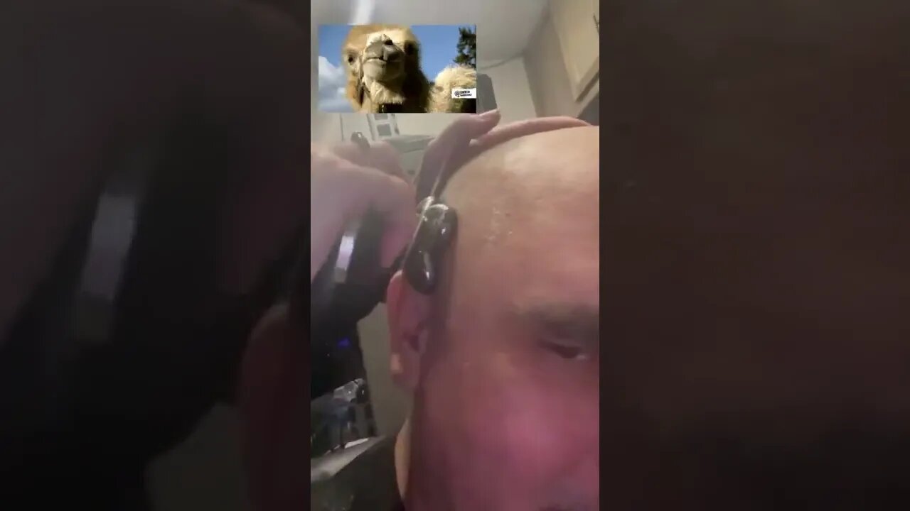 Bald ! How haircuts roll in an RV