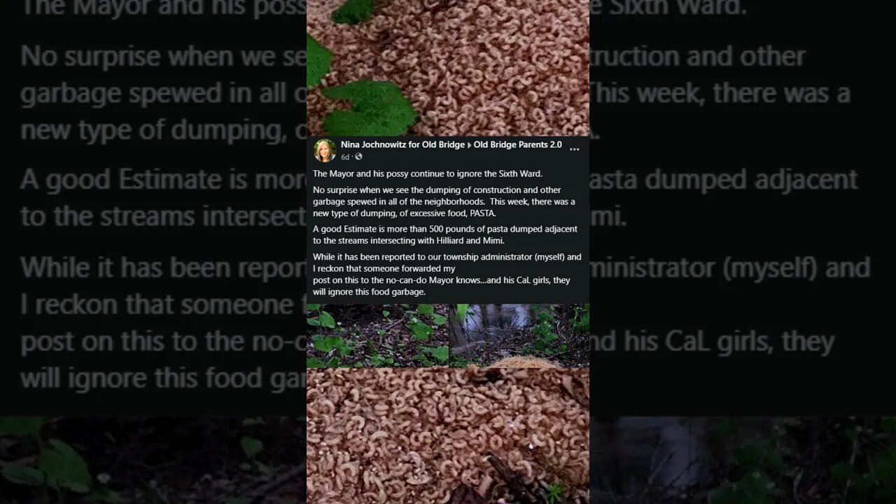500 Pounds of Spaghetti Dumped Alongside River #shorts #news