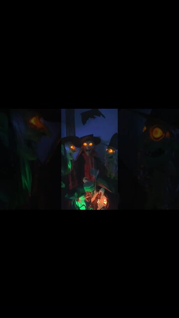 Halloween Witches Spooky
