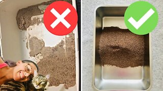 Cat litter box hacks that saved my life