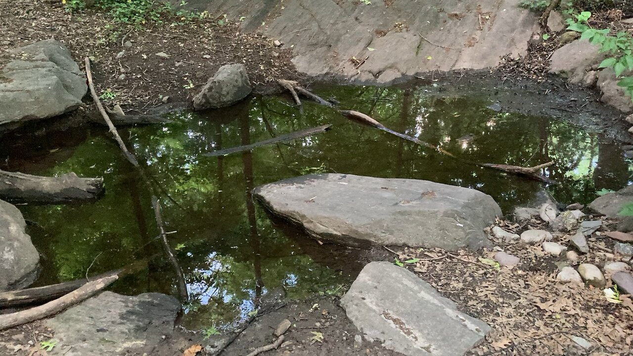 Tanner Spring (Central Park)