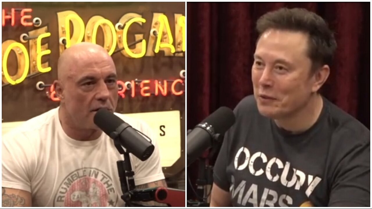 Joe Rogan Experience - Elon Musk | DOGE Framework