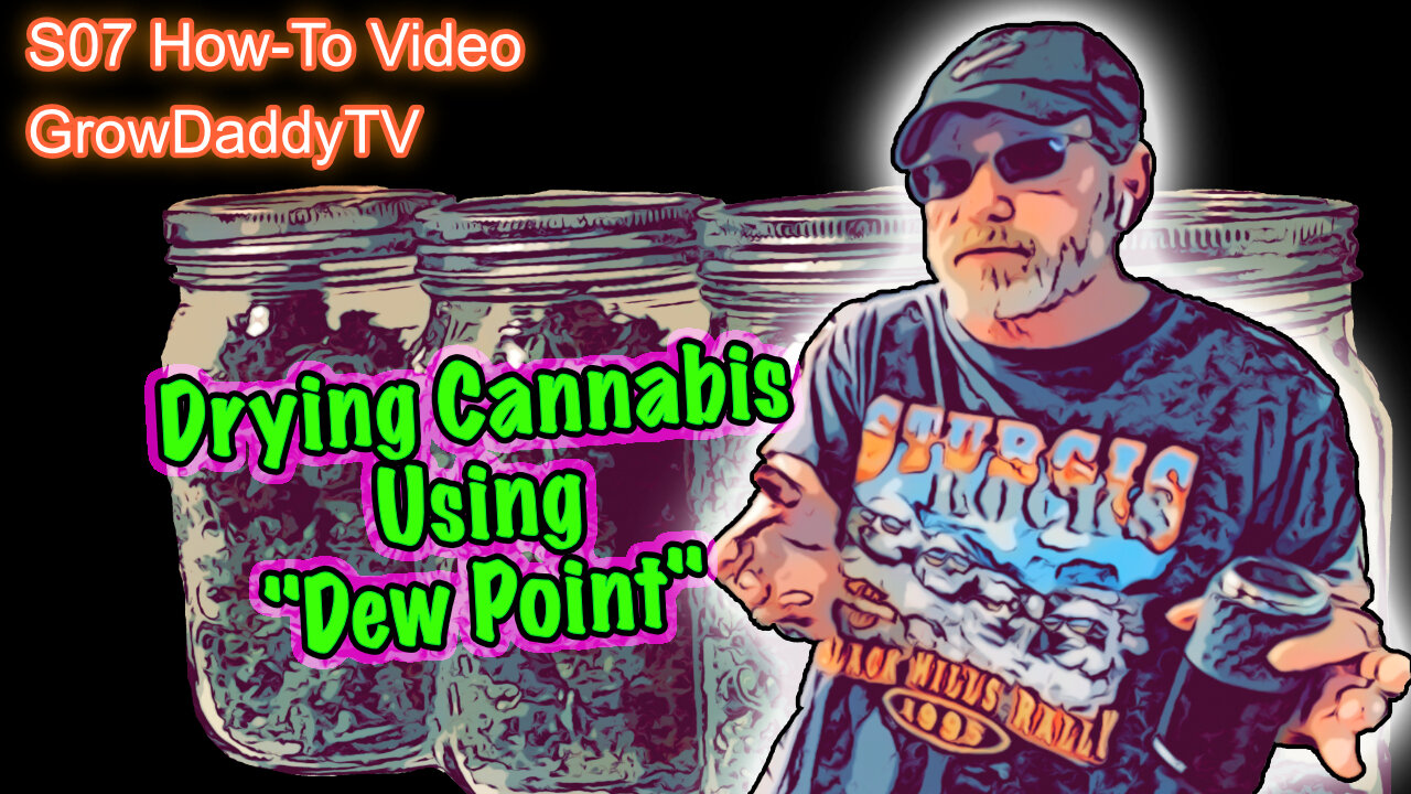 "Dew Point" Explainer Video - Drying & Curing Cannabis Using Dew Point As A Guide In The Drying Room