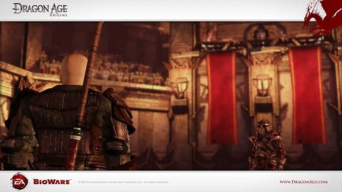 #29 Dragon Age Origins Dianna ( World State #1 )