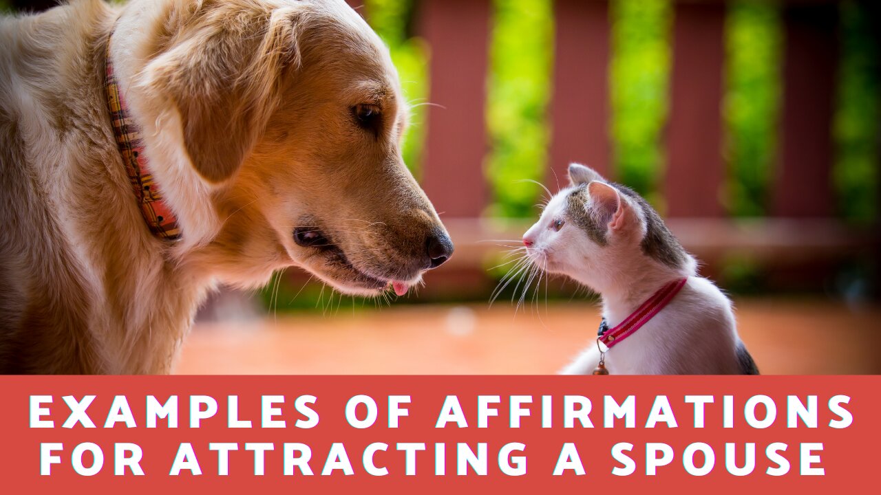 What Are Some Examples of Affirmations To Attract A Spouse?