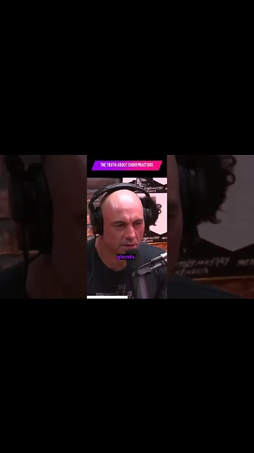 the truth about chiropractors! #shorts