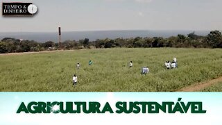 Agricultura Sustentável - com Frederico Olivi