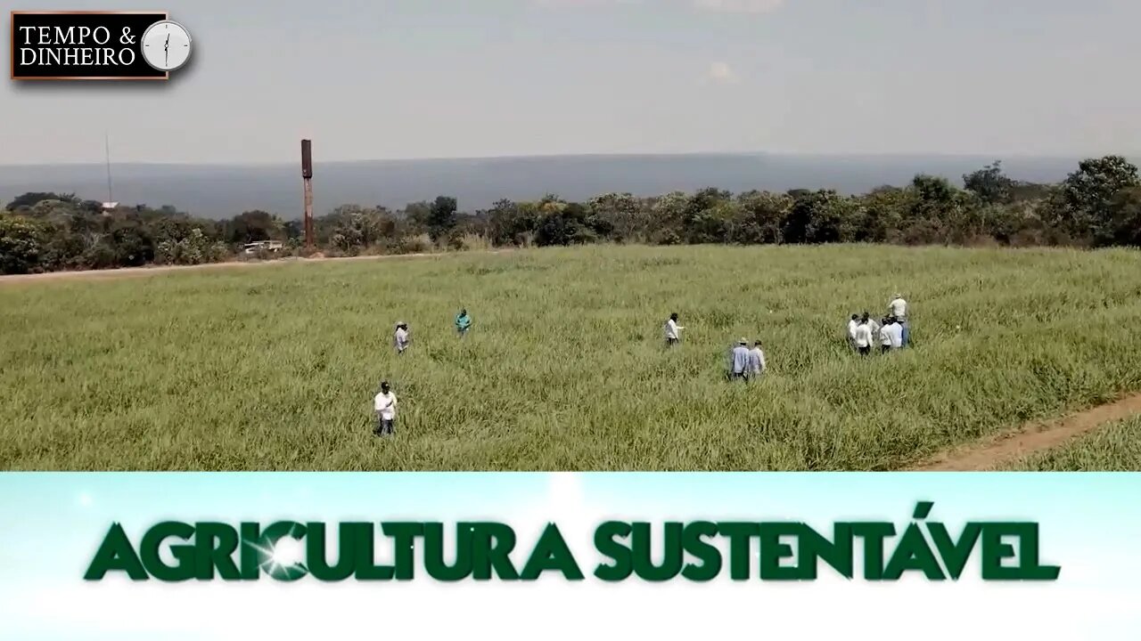 Agricultura Sustentável - com Frederico Olivi