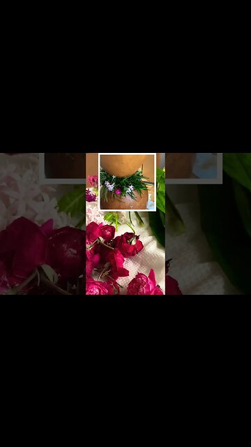 LEI MAKING TIPS FOR LEI MAKING VIDEO ON ALOHA FRIDAY