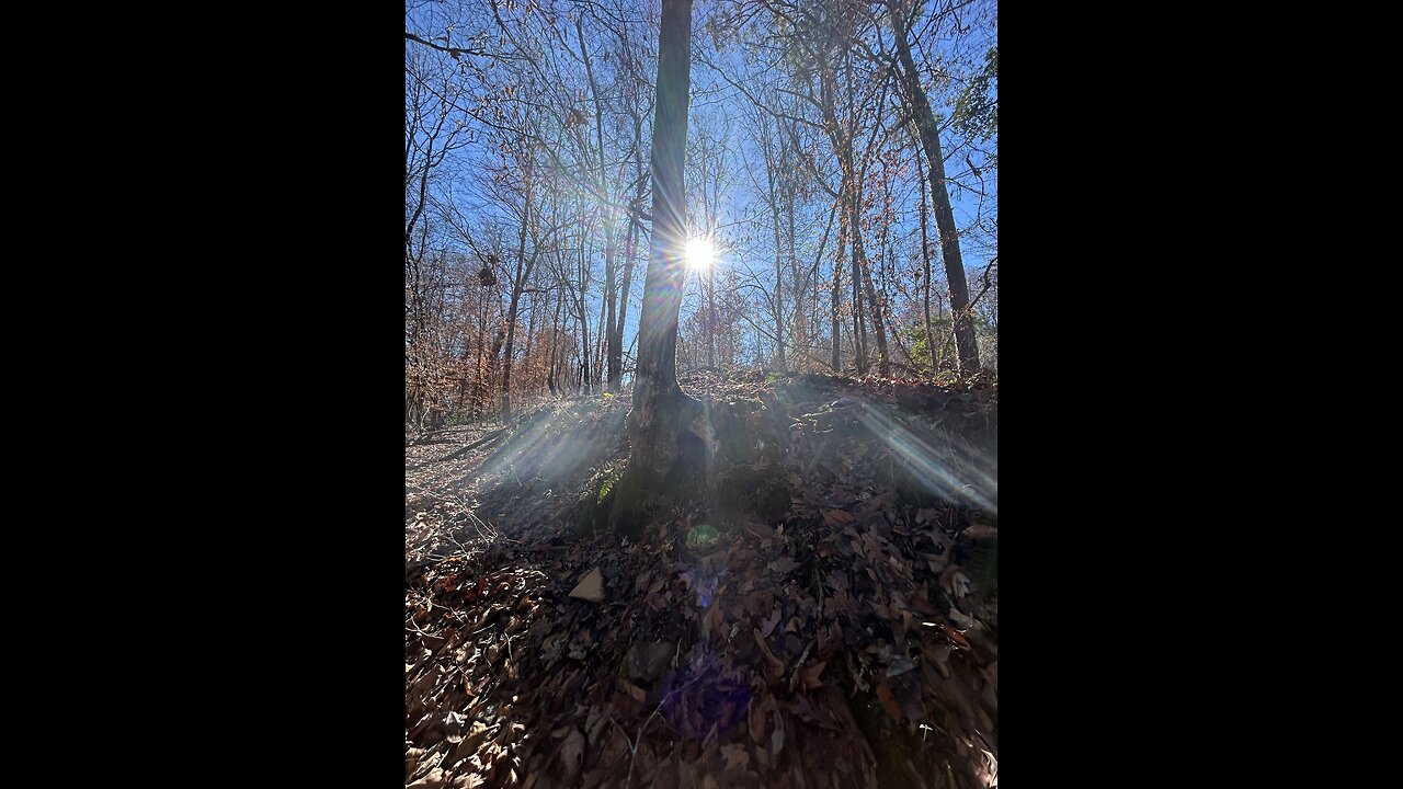 Hatchett Creek Soul Flight 101