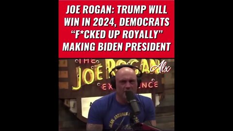 Joe Rogan Spitting Straight Facts 📠