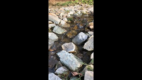 Water returning to river