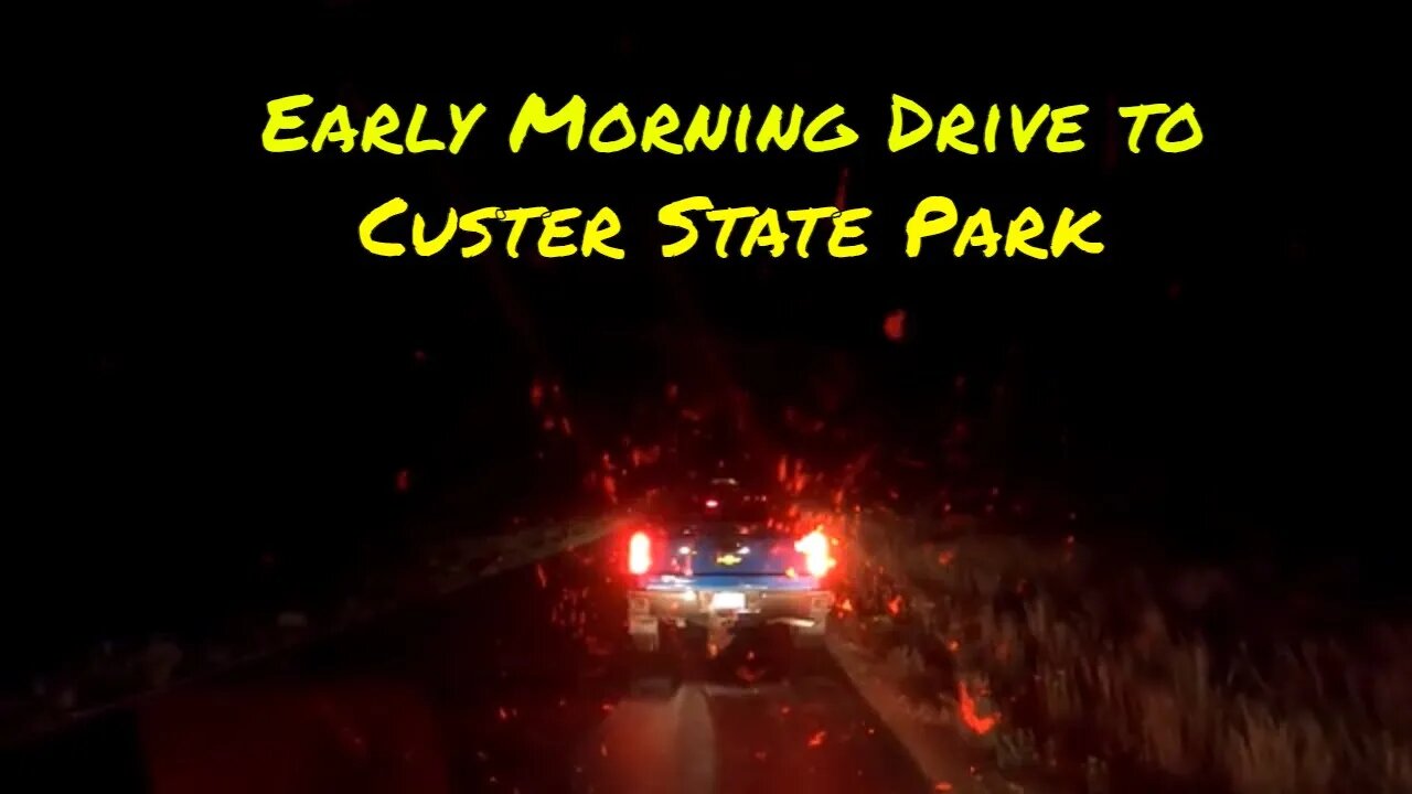 Early Morning Drive to Custer State Park in South Dakota for Buffalo Roundup