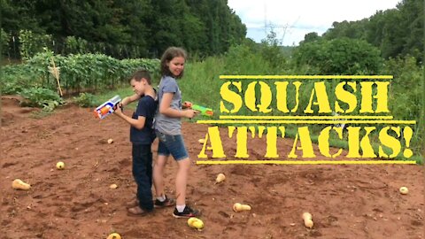 Squash Attacks