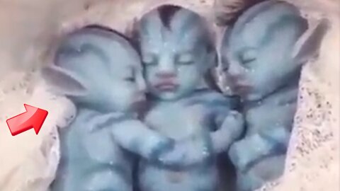 fake that only looks real! Avatar is baby or [Mysterious]