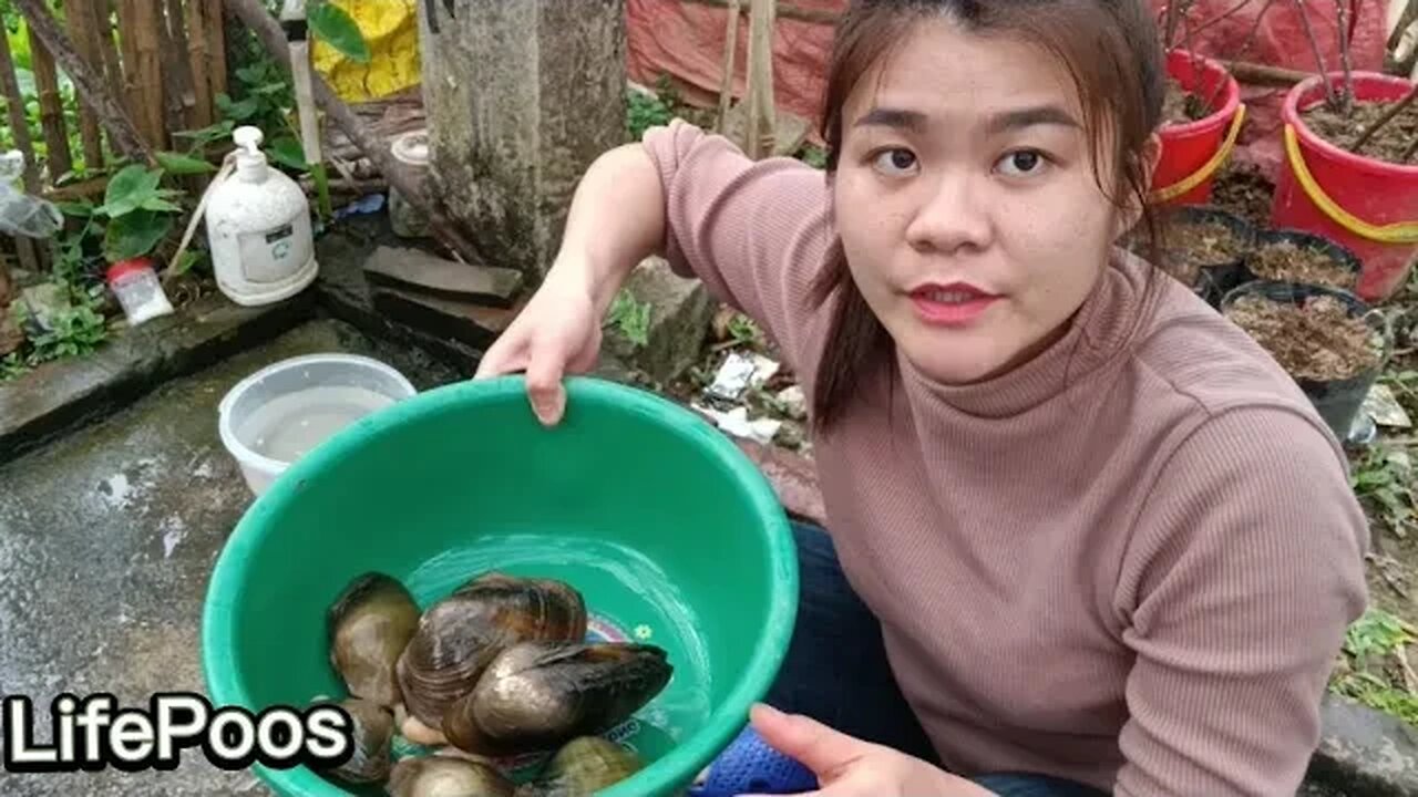 Tìm kiếm ngọc trai,Sơ chế làm sạch con trai trai _ LifePoos