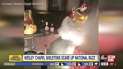 Wesley Chapel Skeletons go viral after couple creates new designs
