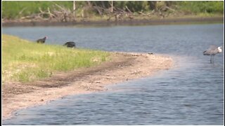 Major water quality projects around Lake Okeechobee still on track