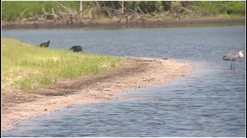 Major water quality projects around Lake Okeechobee still on track