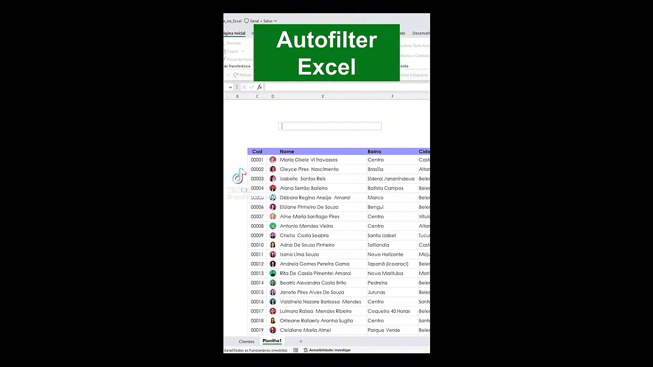 How to do auto filter in excel sheet