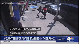 Eric Adams Volunteer Stabbed in the Bronx; Ice Pick Found