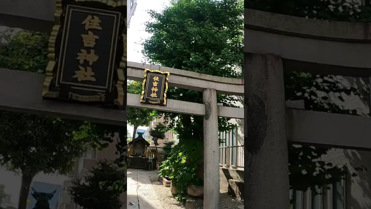 A trip to Japan that no one knows about Wish Upon a Stone #shorts