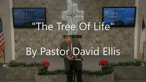 "The Tree Of Life" By Pastor David Ellis