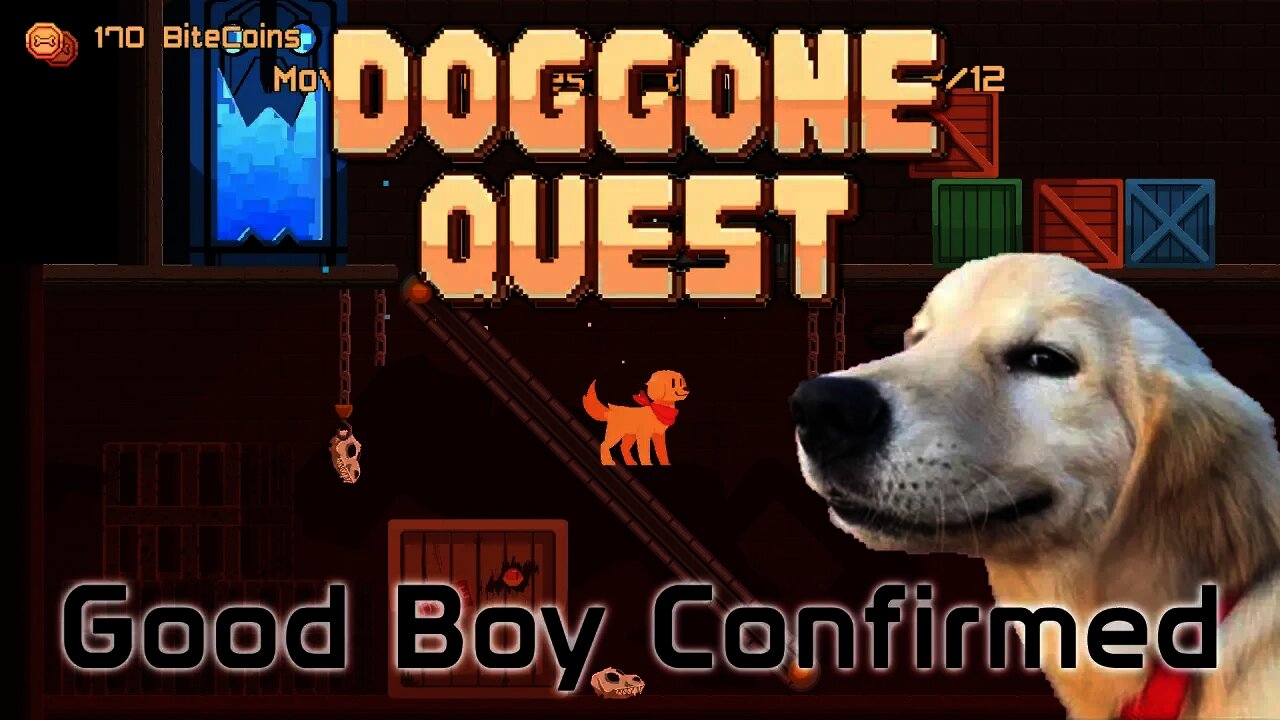 Doggone Quest - Good Boy Confirmed