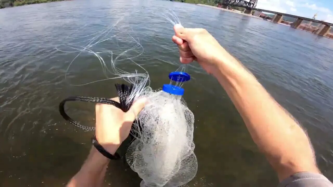 Cast Netting Wild Shad: Tennessee River