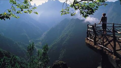 nature videos || nature videos status || nature short video || nature short || nature travel videos