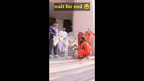 Awesome funny video of ramdev baba 🤣🤣🤣🤣🤣🤣🤣