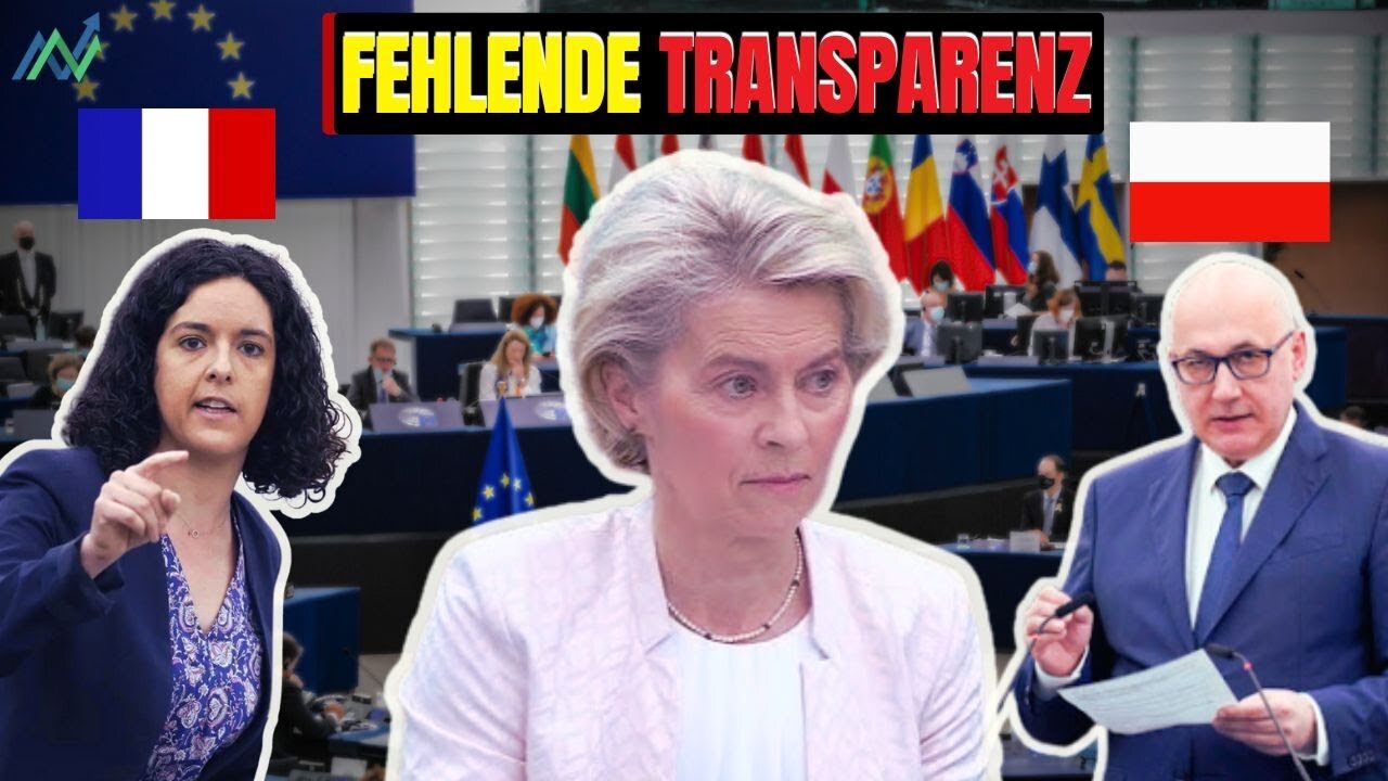 Französische und polnische Abgeordnete decken Machenschaften von der Leyen im EU-Parlament auf🙈