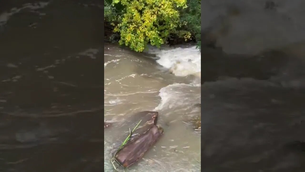 Insane Flood in Tiny Creek